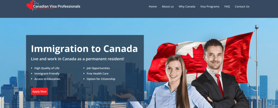 Canadian Visa Professional review 1